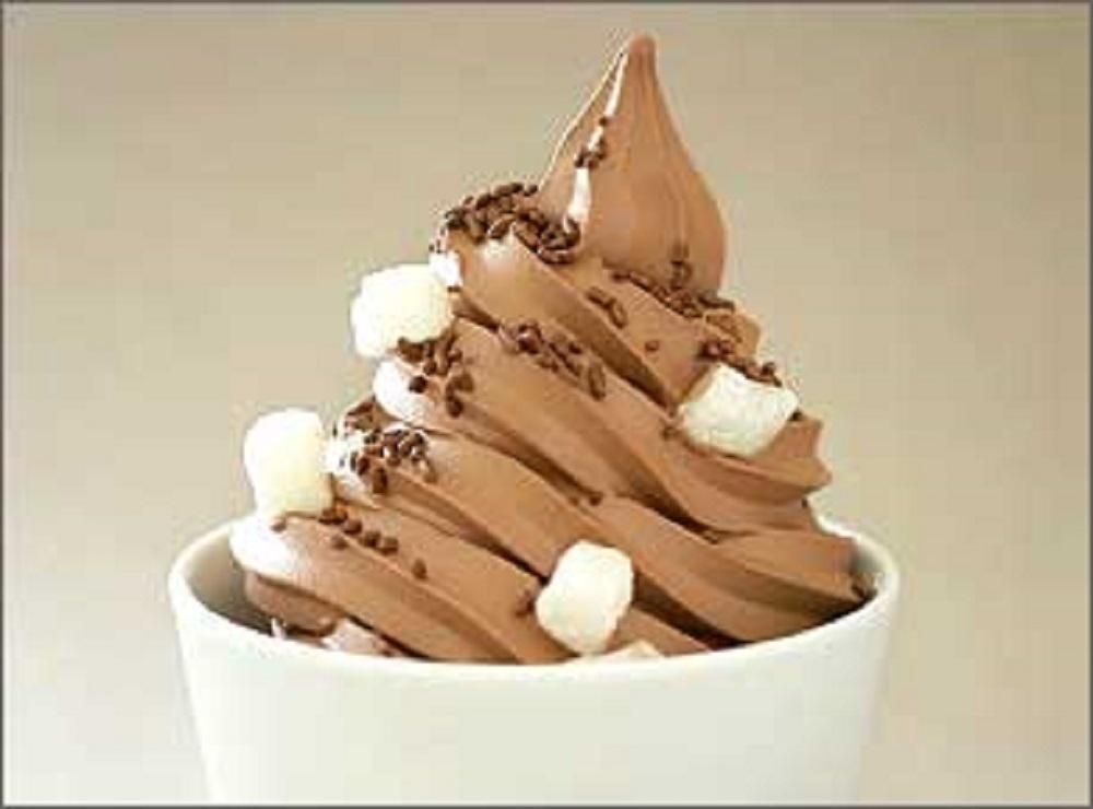 Frozen Yogurt Franchises Fad or Trend?