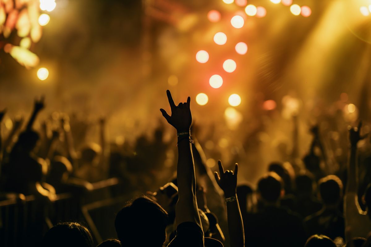Attendees at a rock and roll concert