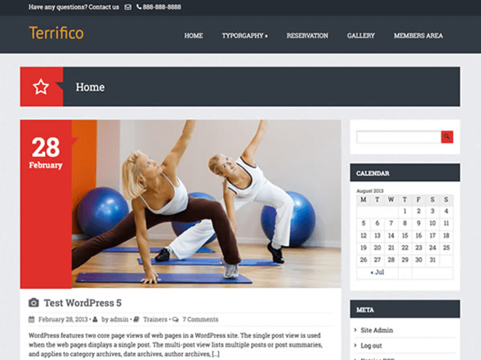 best free wordpress themes: terrifico
