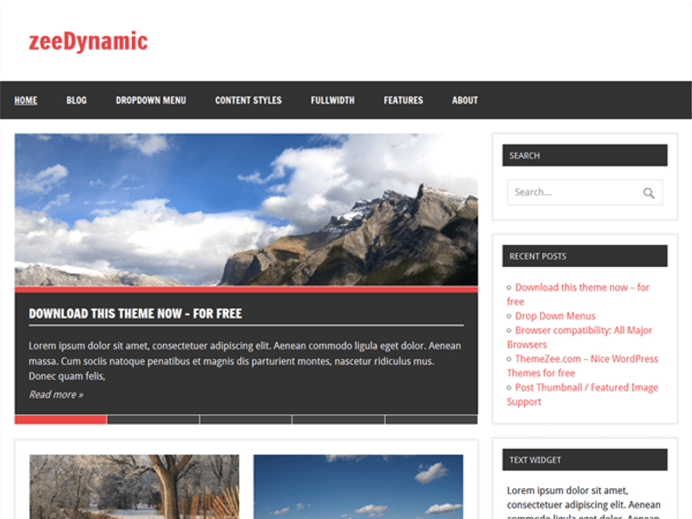 best free wordpress themes: zeedynamic