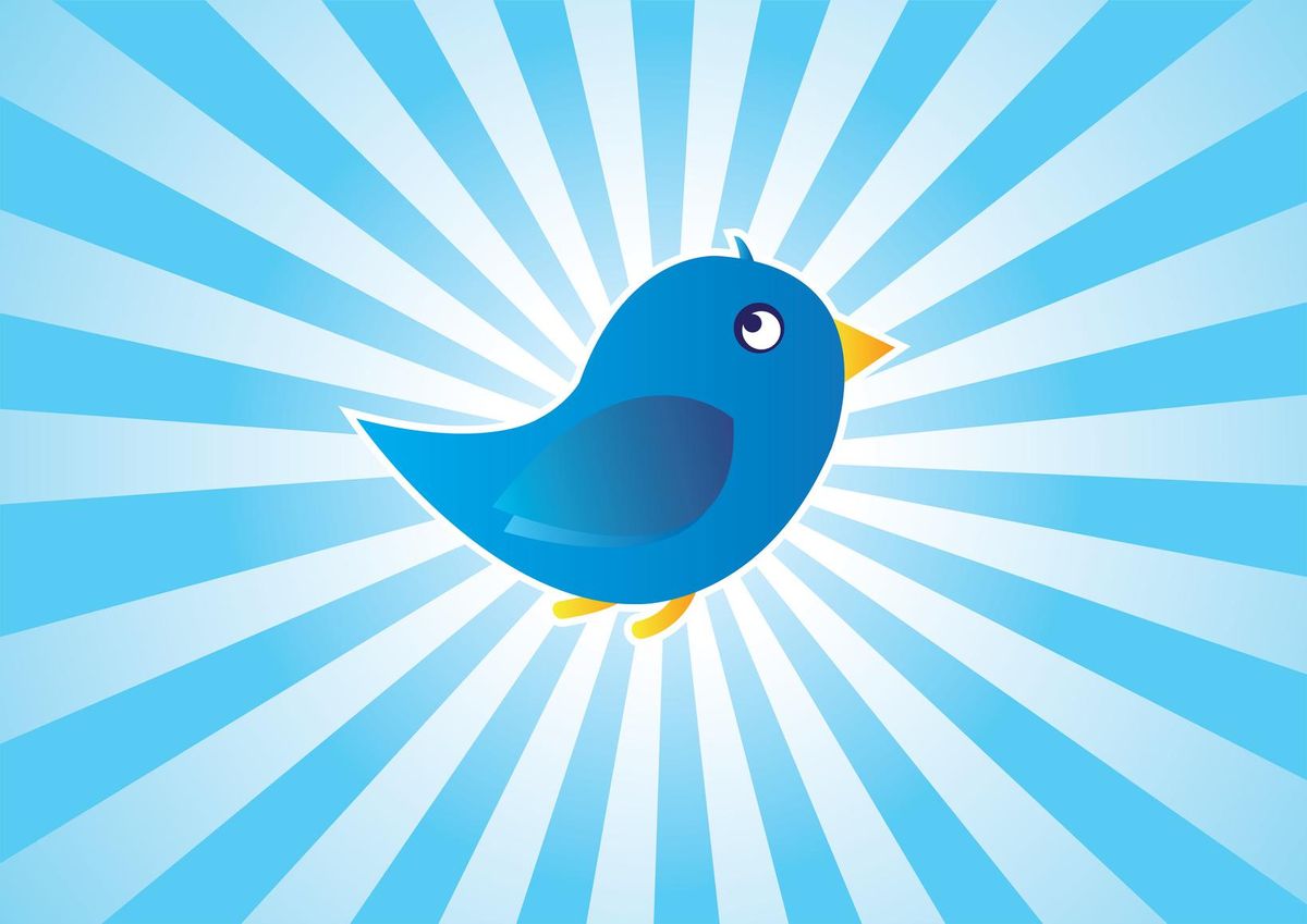 Blue Bird - Tweet Background