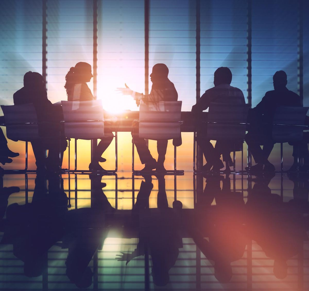 board of directors
