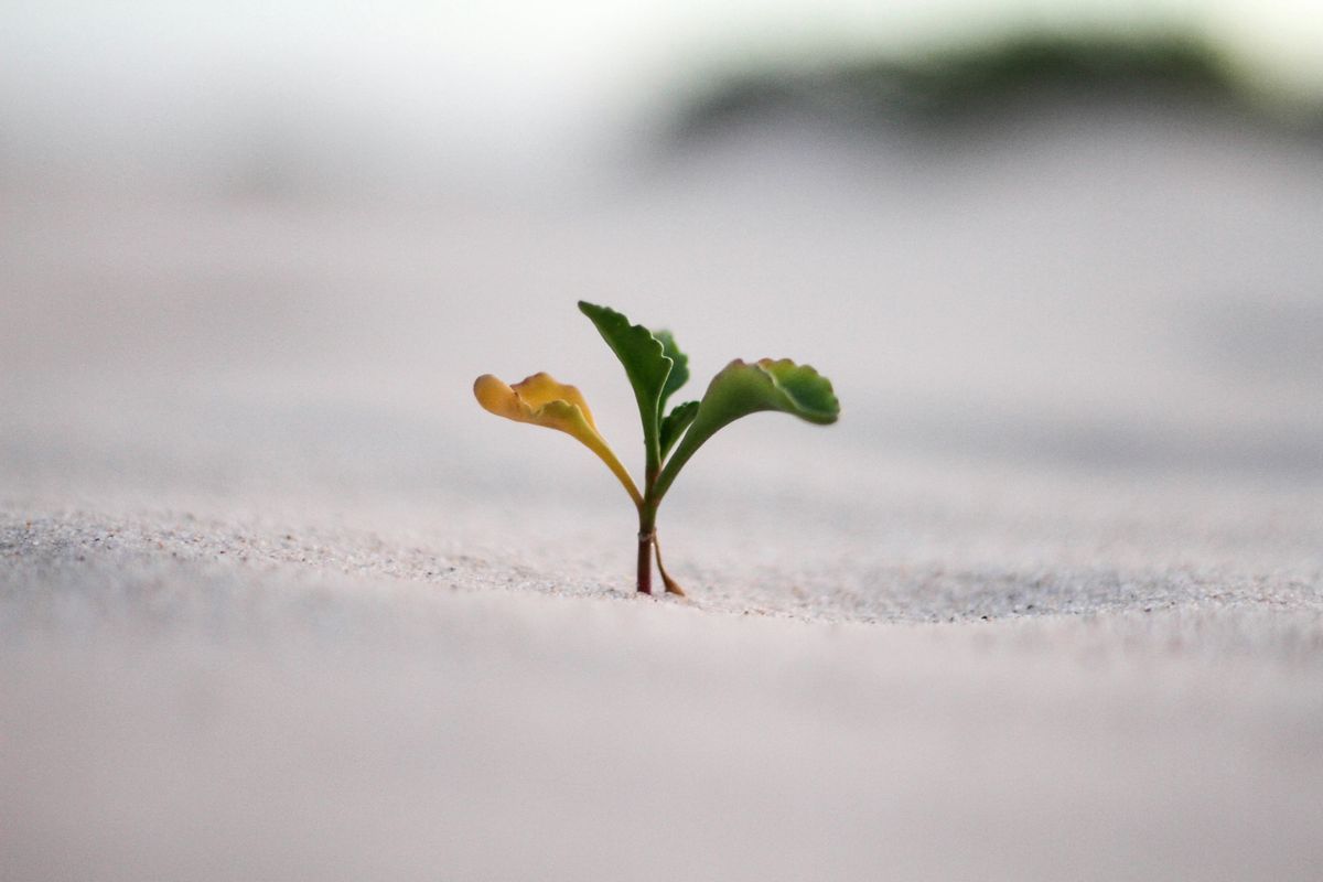 Business growth can continue even on a tight budget