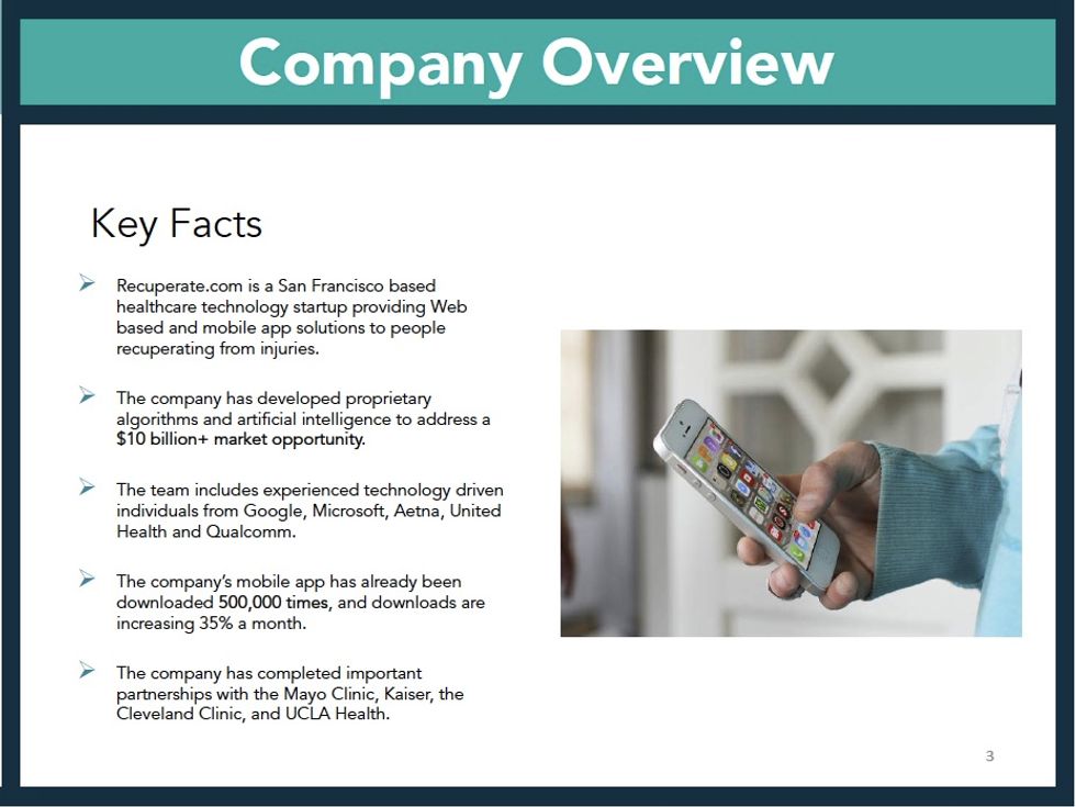 company overview slide of the investor pitch deck