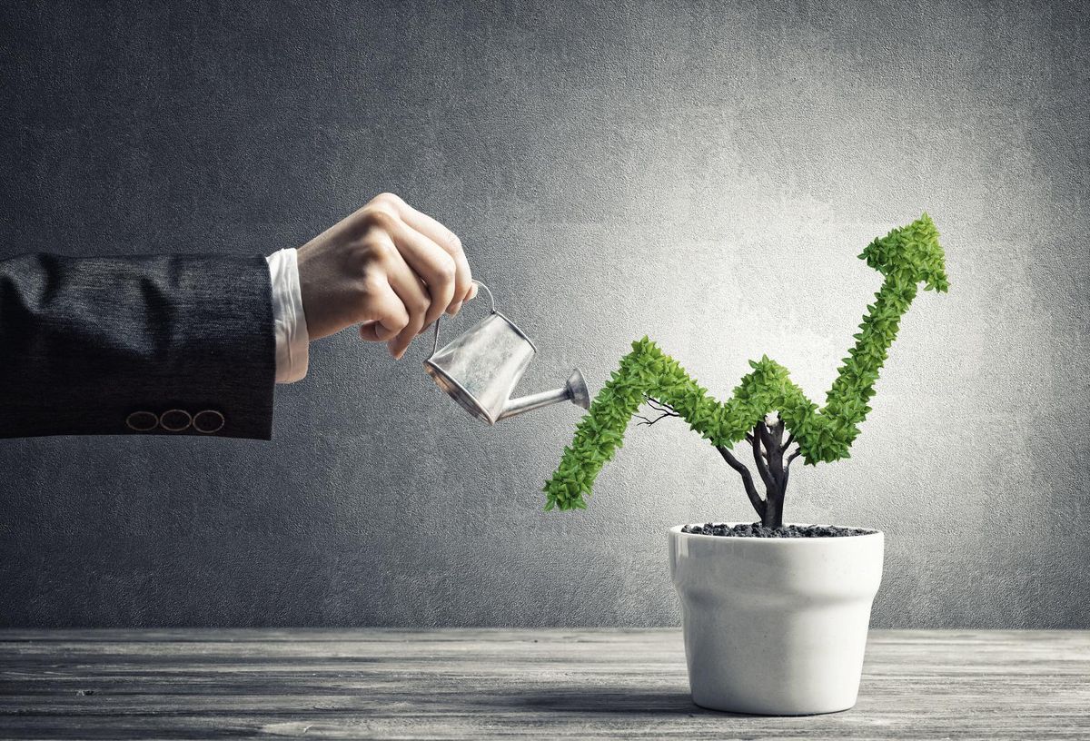 Cultivating smart business growth strategies