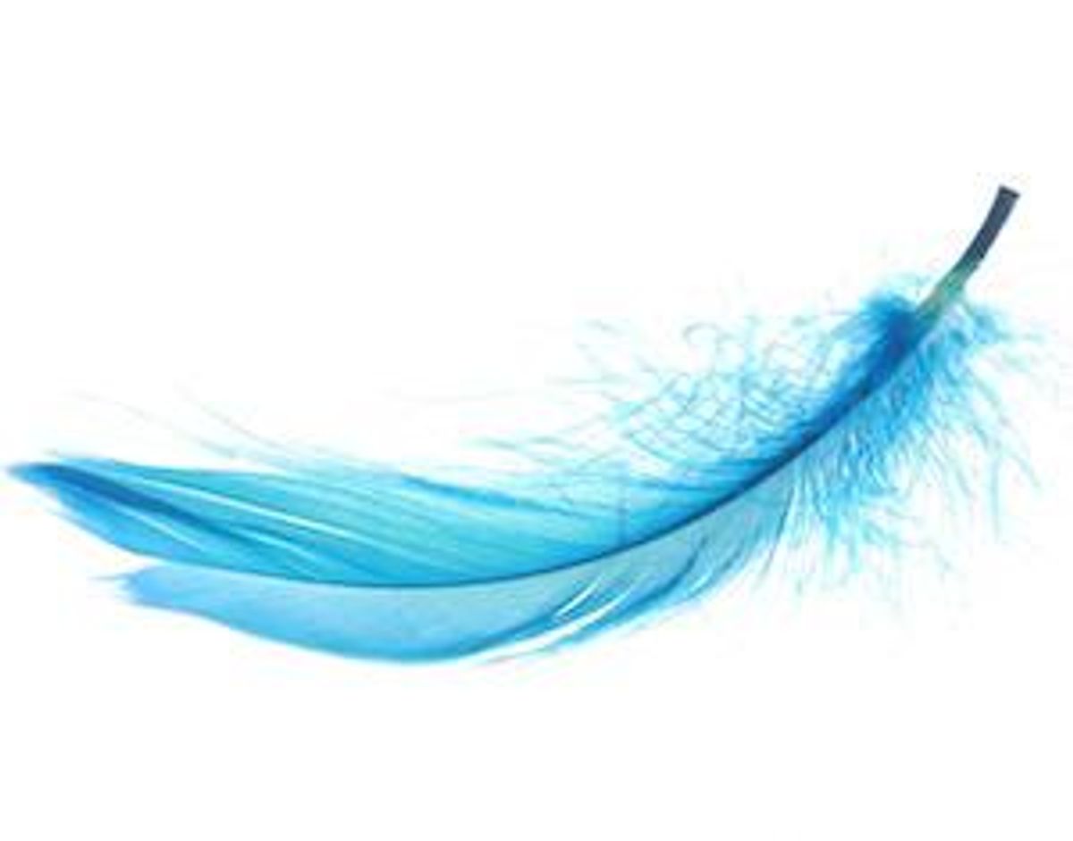 feather