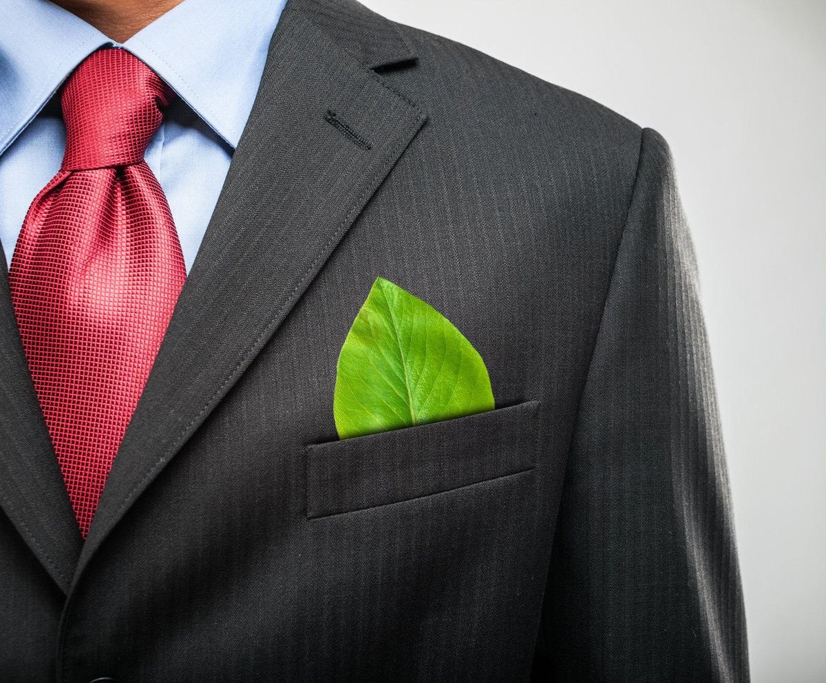 green leaf in businessman's pocket
