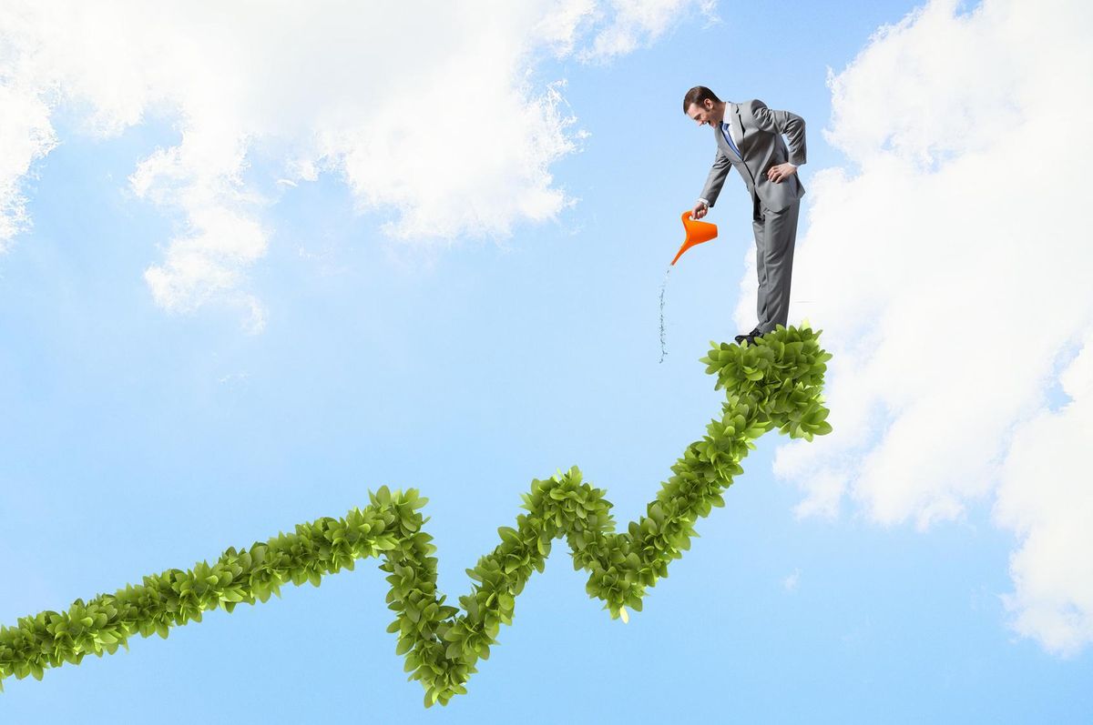 grow your business