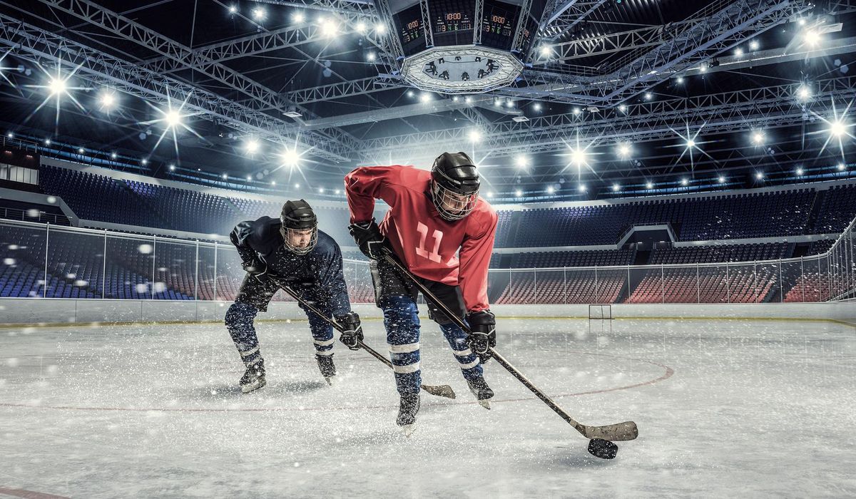 hockey players