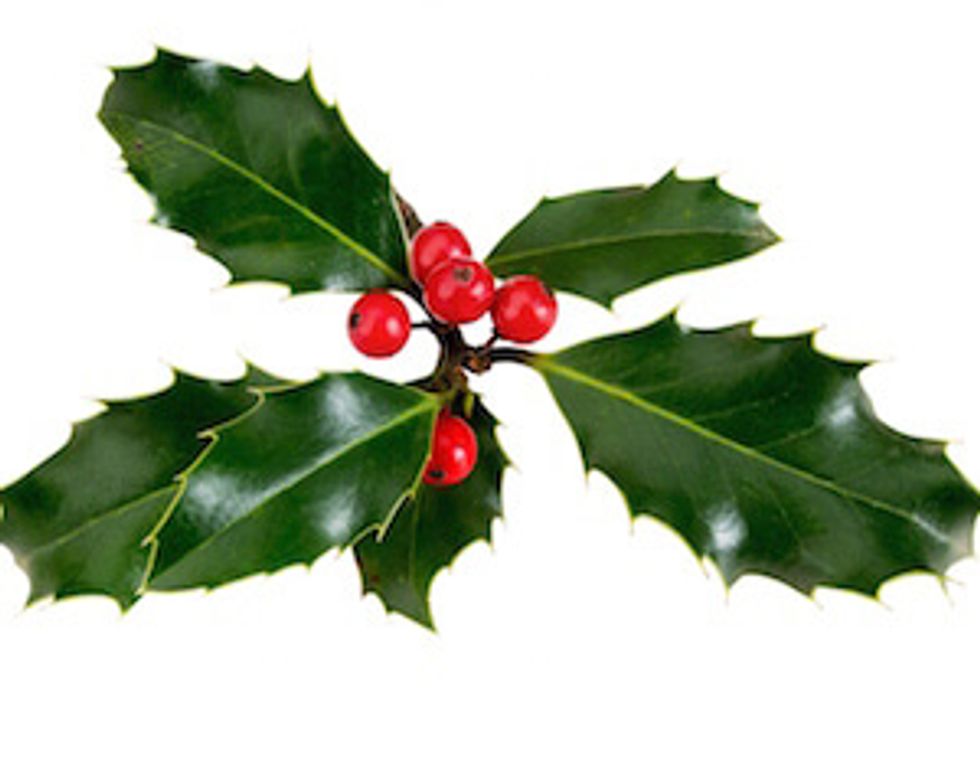 holly with berries