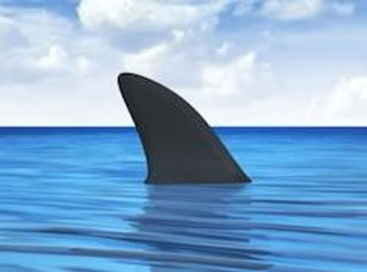 Shark Bait: How to Make a Cap Table That Lures in Investors