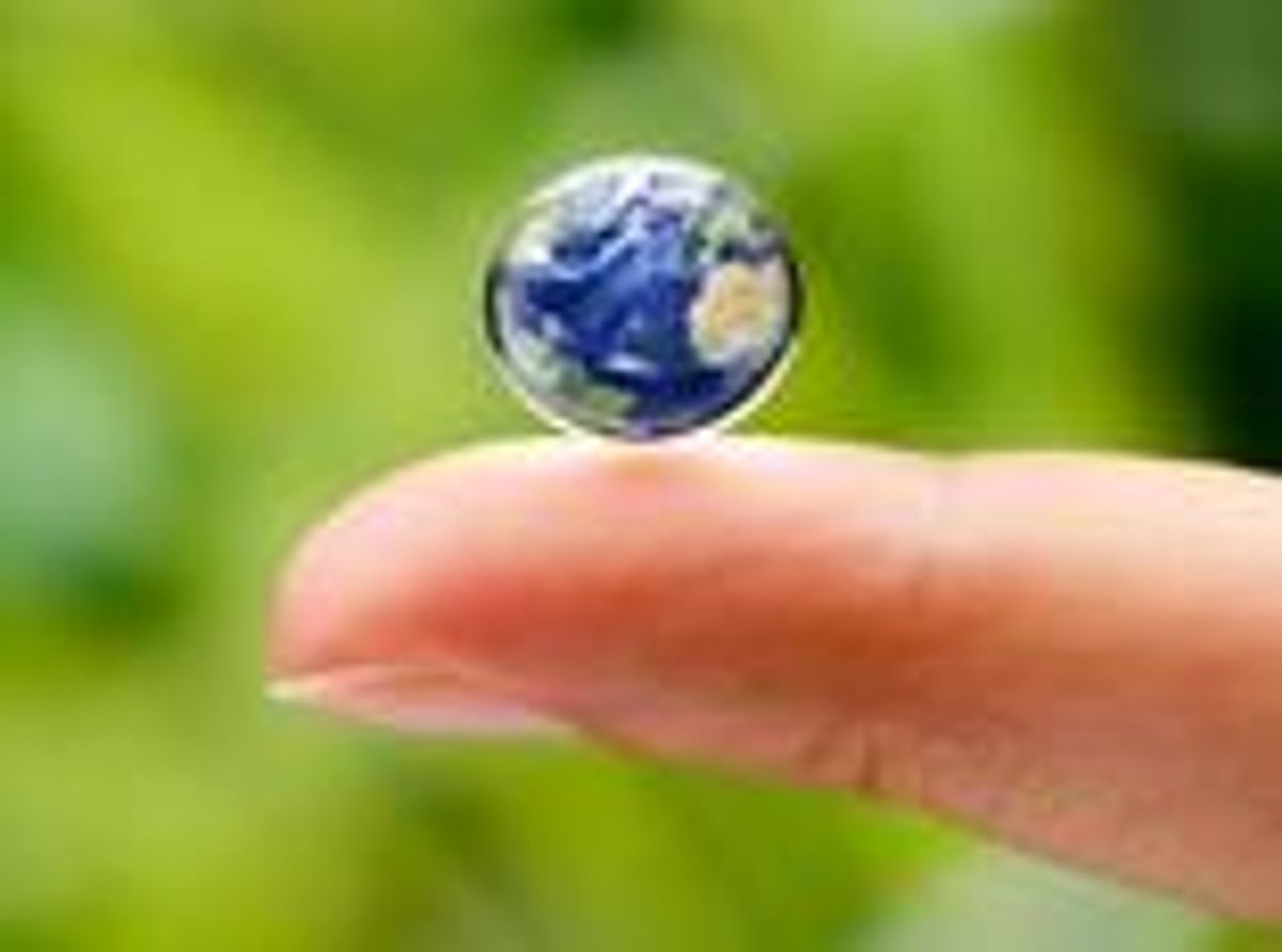 Small Business Owner Takes His Green Energy Business Global