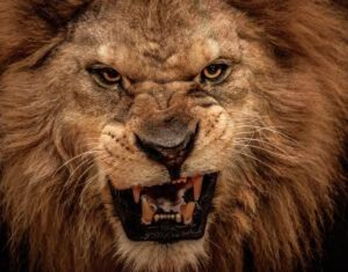 Entrepreneurial Ego and The Beast