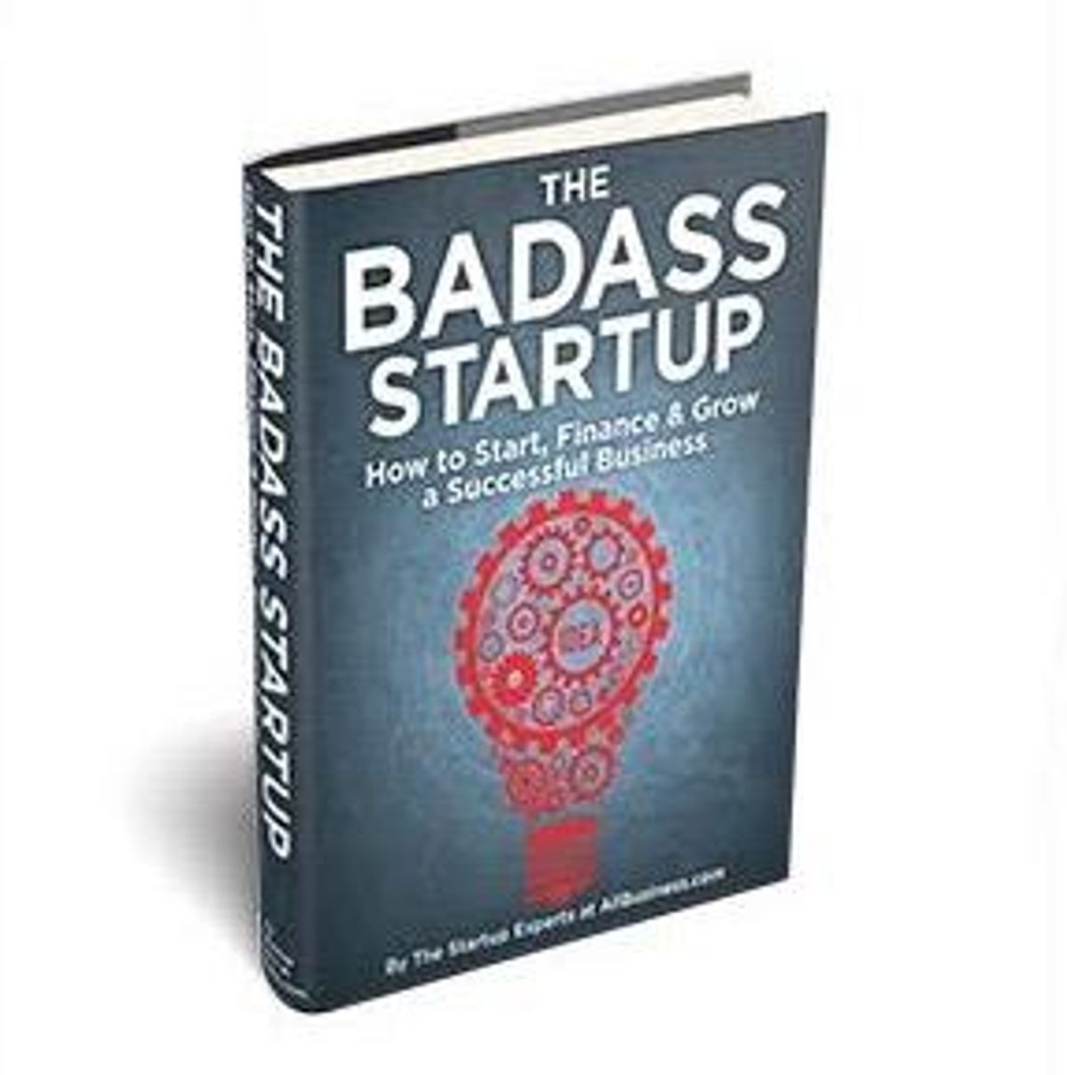 New Book Available Now - The Badass Startup: How to Start, Finance & Grow a Successful Business