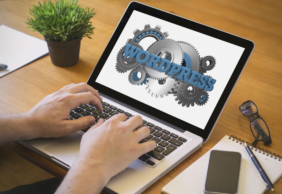 WordPress Basics for Small Businesses: Hosting Your Website
