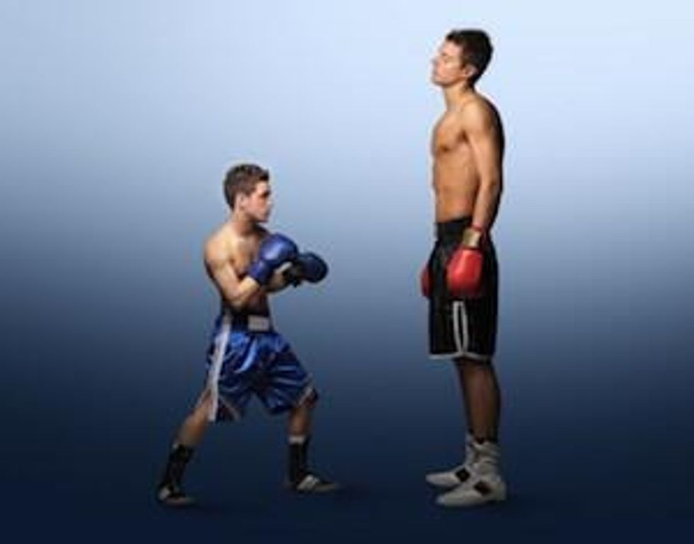 David versus Goliath: Where Is Community Banking Headed?