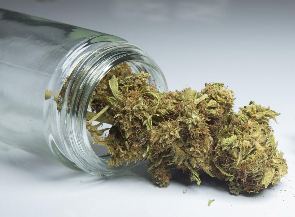 medical marijuana