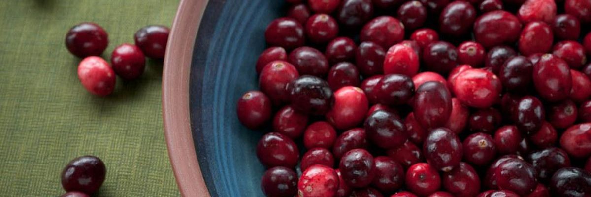 Ocean Spray Cranberries started Great Depression