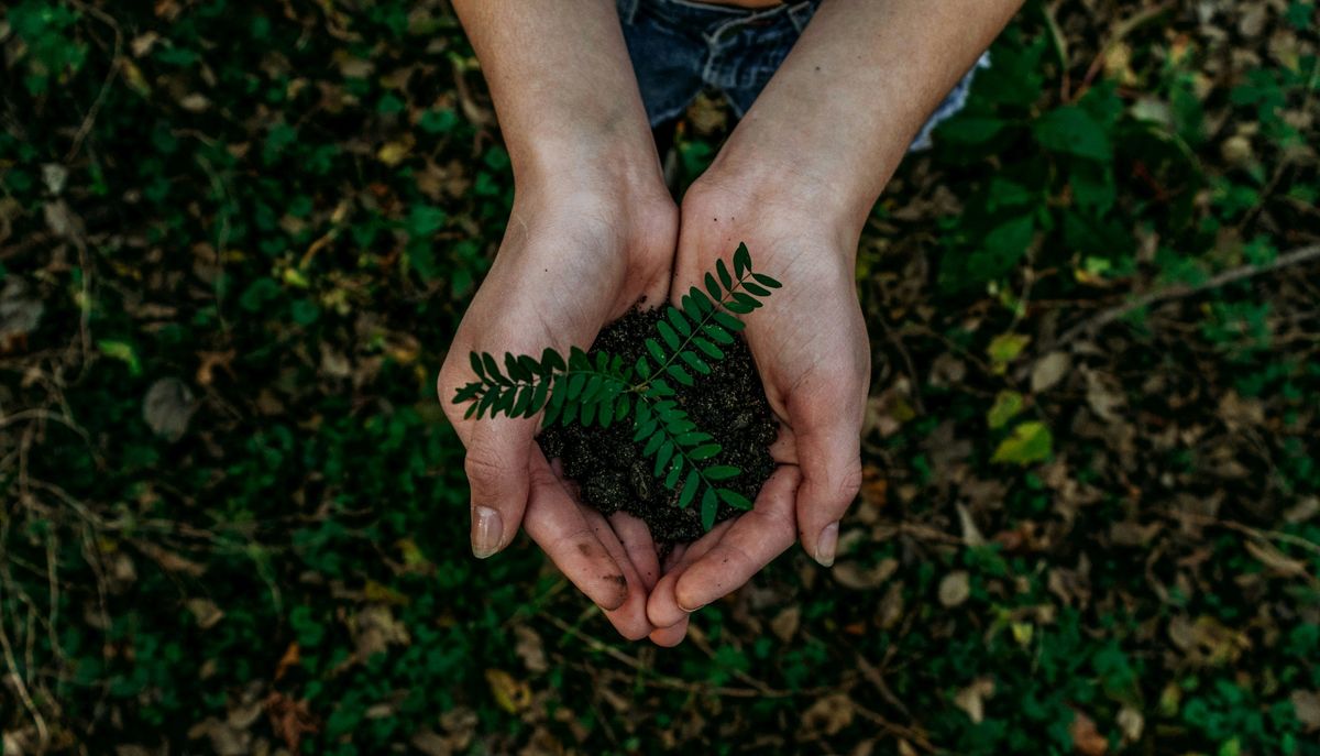 Plant representing corporate social responsibility