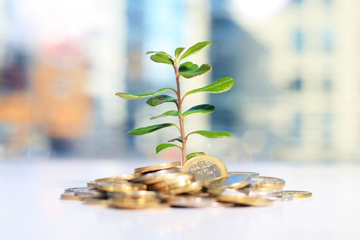 Successful financial investment made by a small business owner