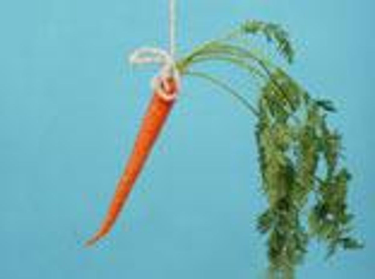 10 Ways to Motivate Your Employees on the Cheap