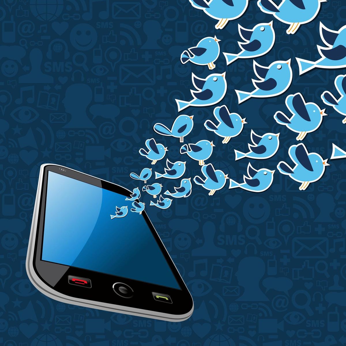 Twitter birds splash out smartphone application